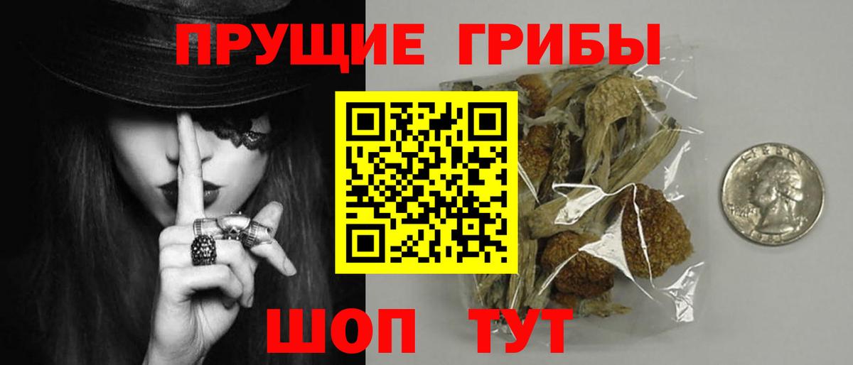 Соль-Илецк  Галлюциногенные грибы Psilocybe  Псилоцибиновые грибы мухоморы  Вход с VPN 